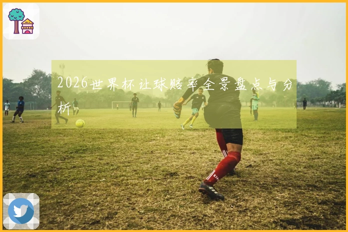 2026世界杯让球赔率全景盘点与分析