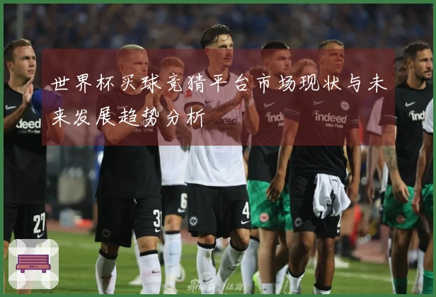 世界杯买球竞猜平台市场现状与未来发展趋势分析
