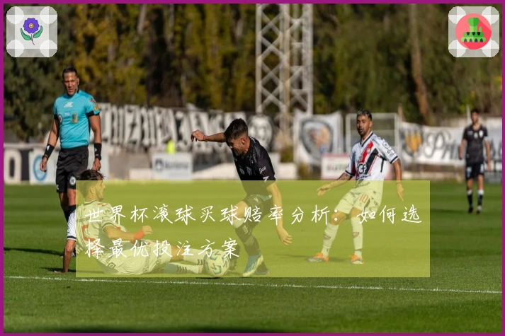 世界杯滚球买球赔率分析：如何选择最优投注方案