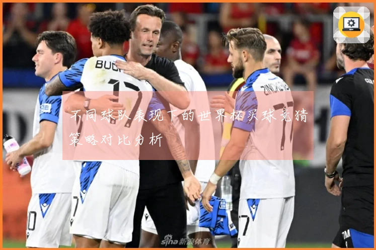 不同球队表现下的世界杯买球竞猜策略对比分析