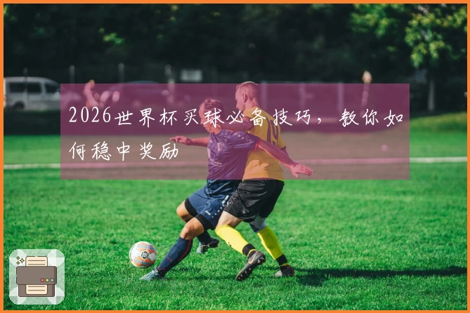 2026世界杯买球必备技巧，教你如何稳中奖励
