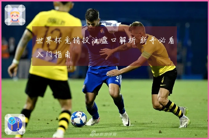 世界杯竞猜投注盘口解析 新手必看入门指南