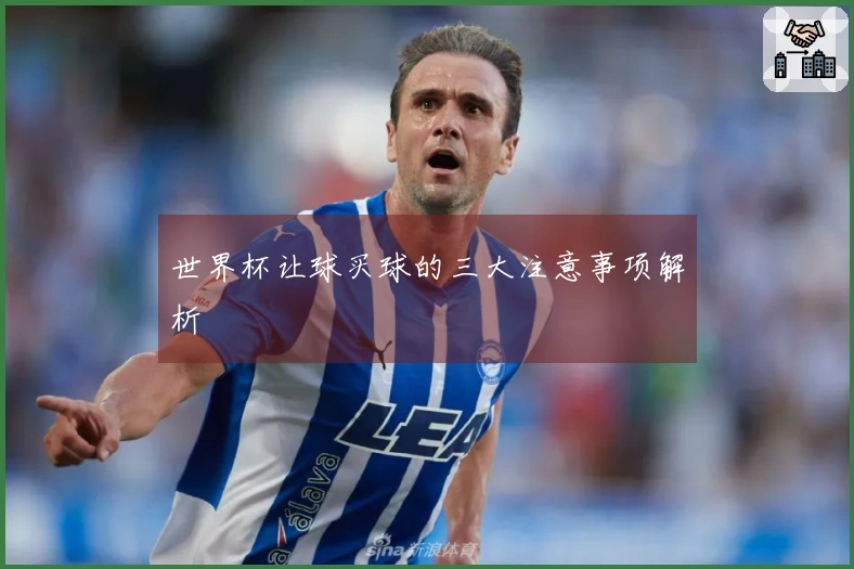 世界杯让球买球的三大注意事项解析