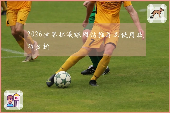 2026世界杯滚球网站推荐及使用技巧分析