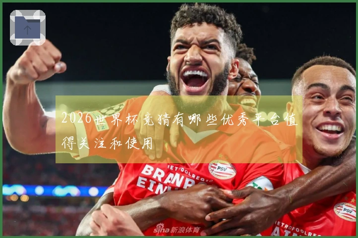 2026世界杯竞猜有哪些优秀平台值得关注和使用
