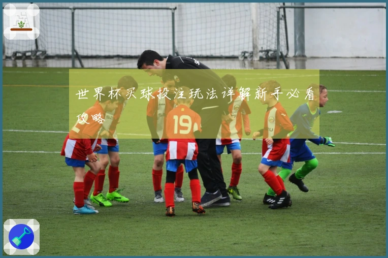 世界杯买球投注玩法详解新手必看攻略