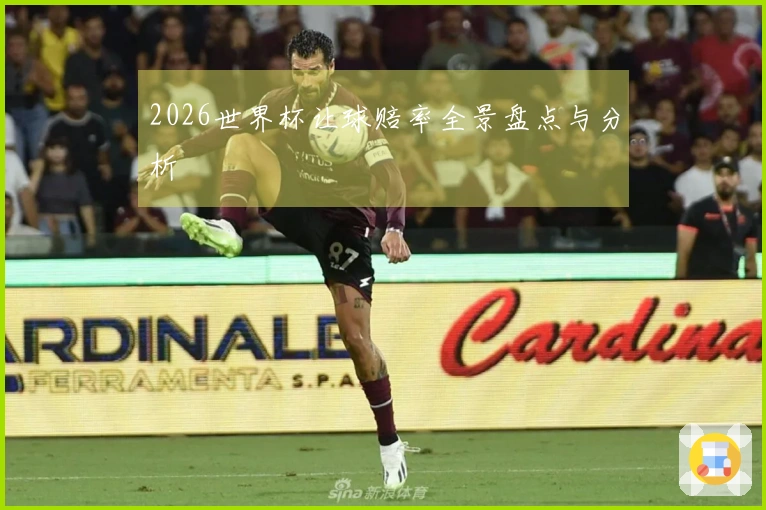 2026世界杯让球赔率全景盘点与分析