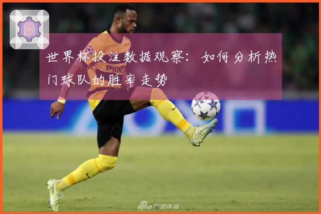 世界杯投注数据观察:如何分析热门球队的胜率走势
