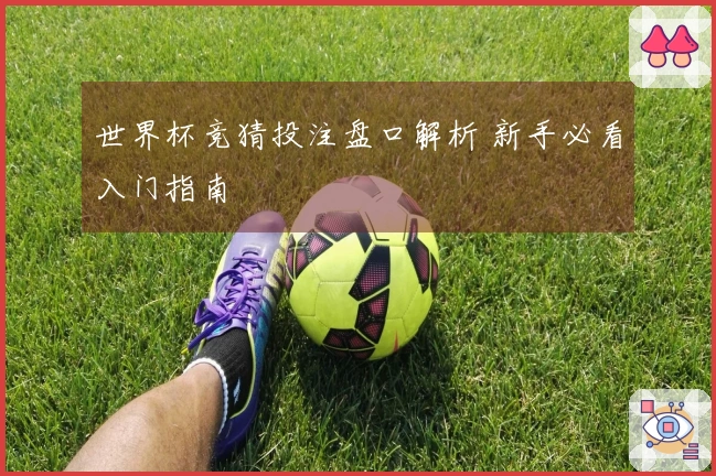 世界杯竞猜投注盘口解析 新手必看入门指南