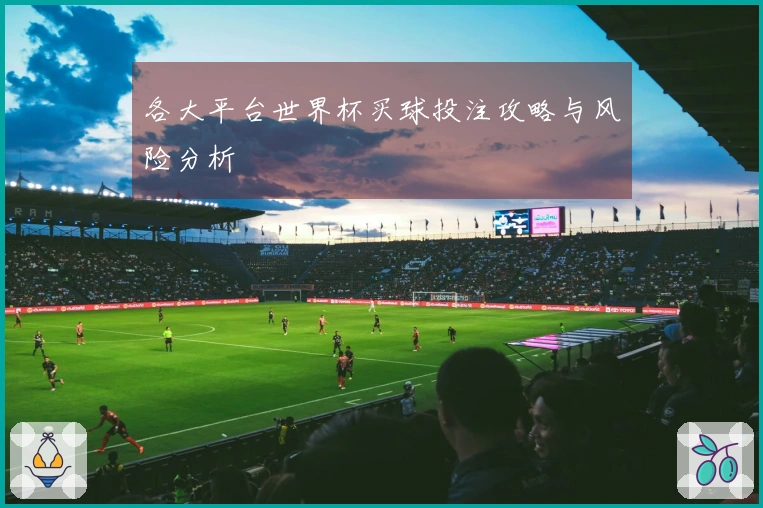 各大平台世界杯买球投注攻略与风险分析